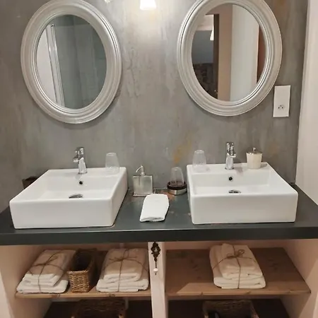 Manoir Des Barrayrous בית הארחה Nègrepelisse